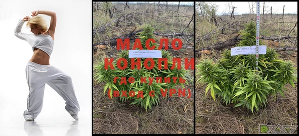 дживик Магас
