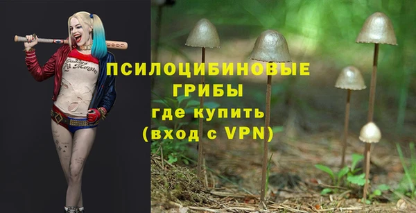 дживик Магас
