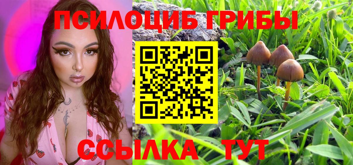 Курганинск  Галлюциногенные грибы Psilocybine cubensis  Вход с VPN 