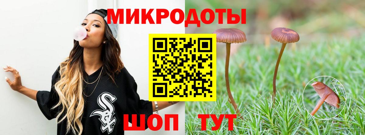 Галлюциногенные грибы прущие грибы Курганинск