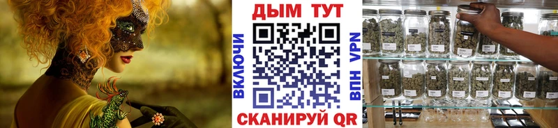 Бошки Шишки SATIVA & INDICA Курганинск